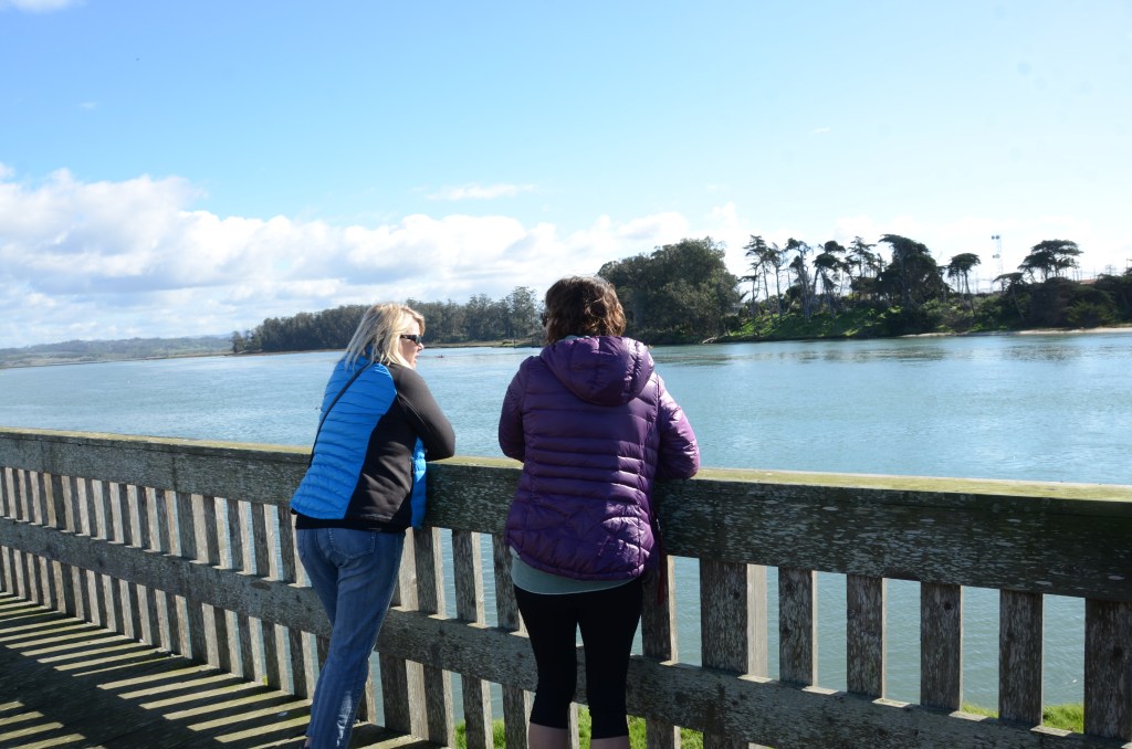 Drive along the&nbsp;coast.