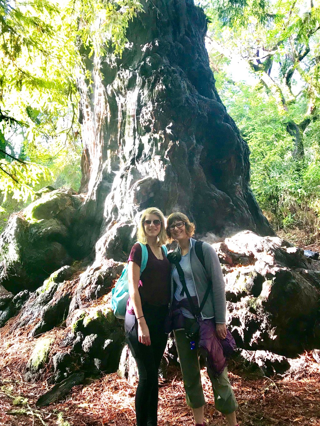 Walking with the&nbsp;giants…